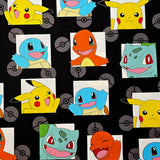 Heating Pad, Cherry Pits, Rice, Walnut or Flax Seed, 5 sizes, Pokemon Patterns -  Microwaveable