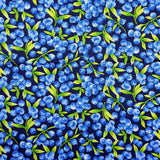 Heating Pad, Cherry Pits, Jasmine Rice, Crushed Walnut Shells, 5 sizes, Fruit Patterns -  Microwaveable