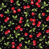Heating Pad, Cherry Pits, Jasmine Rice, Crushed Walnut Shells, 5 sizes, Fruit Patterns -  Microwaveable
