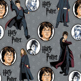 Harry Potter: Microwaveable Heating Pad - Cherry Pits, Rice, Walnut or Flax Seed