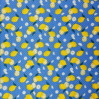 Heating Pad, Cherry Pits, Rice, Walnut or Flax Seed, 5 sizes, Fruit Patterns -  Microwaveable