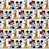 Microwaveable Heating Pad: Cherry Pits, Rice, Walnut or Flax Seed - Mickey & Minnie Mouse Patterns