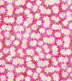 Cherry Pit Heating Pad - Packed Daisy on Pink - Cherry Pit Crafts