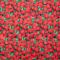 Heating Pad, Cherry Pits, Rice, Walnut or Flax Seed, 5 sizes, Fruit Patterns -  Microwaveable