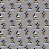 Microwaveable Heating Pad: Cherry Pits, Rice, Walnut or Flax Seed - Mickey & Minnie Mouse Patterns