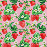 Heating Pad, Cherry Pits, Rice, Walnut or Flax Seed, 5 sizes, Fruit Patterns -  Microwaveable