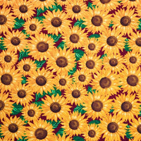 Eco Friendly Tote Bags